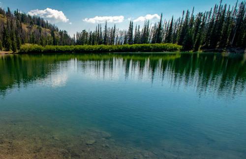 Dollar Meadows 1383 - Foto 38