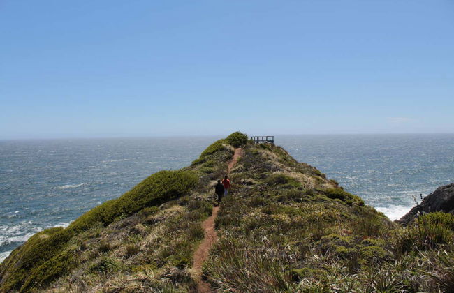 Punta Curiñanco Tour - Photo 4