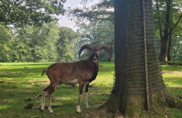 Familiehuis Dolve - Foto 87