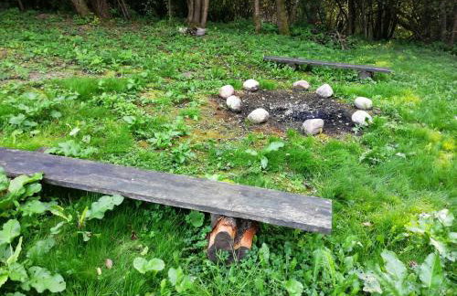 Mazurska Knieja - Foto 42