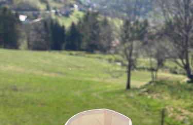 LE VERTBRUCHE - Gîte avec superbe vue pour 15 pers - Foto 54