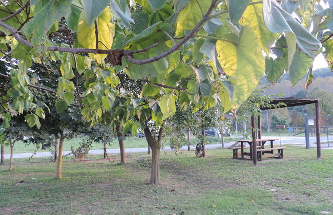 Agriturismo Isorella - Foto 43