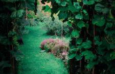 Poziomkowy Zakątek - Foto 18