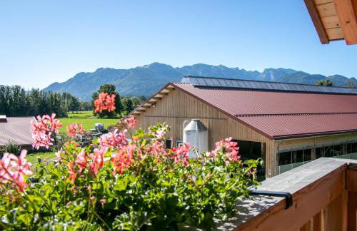 Ferienwohnungen zum Nigglhof - Photo 25