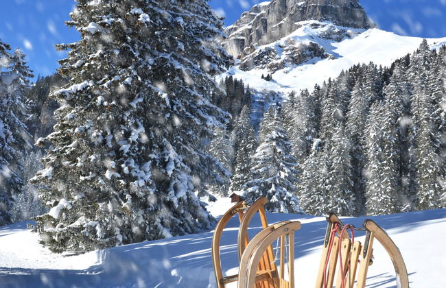 Guardaval (Utoring) - Foto 52