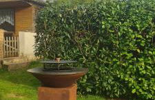 Ferienhaus Paul - Foto 30