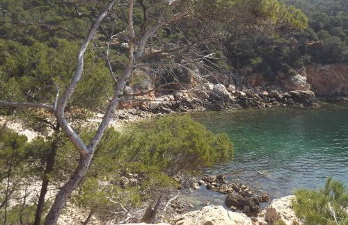 le cytharis - Foto 67