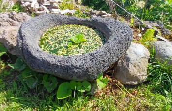 Casa Kasule - RRAL4671 - Foto 23