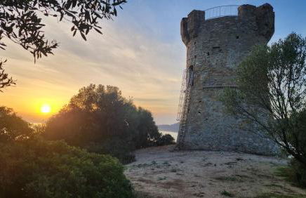 mini villa 72, résidence avec piscine. - Foto 34