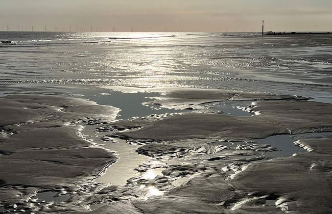 Beachcomber Cabin, Dog Friendly - Anderby Creek - Foto 15