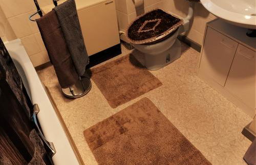 Schloss Weichs zu Regensburg mit 2Schlafzimmer Parkplatz Internet 75qm Zentrum - Foto 14