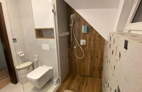 DOM NA KASZUBACH, SAUNA i BALIA - Foto 12