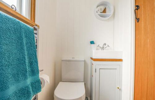 Gwithian Shepherds Hut - Foto 13