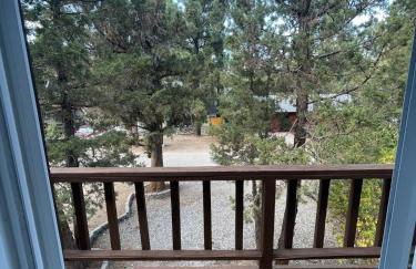 Comfy Modern Big Bear Cabin - Foto 9