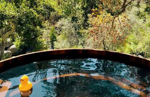 Paradise Ranch Inn- Limitless House Hot Tub,Sauna - Foto 13