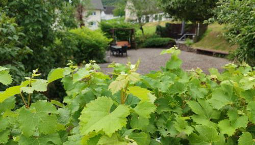 Moselina Ferienwohnungen - Foto 5, Garden, Garden view