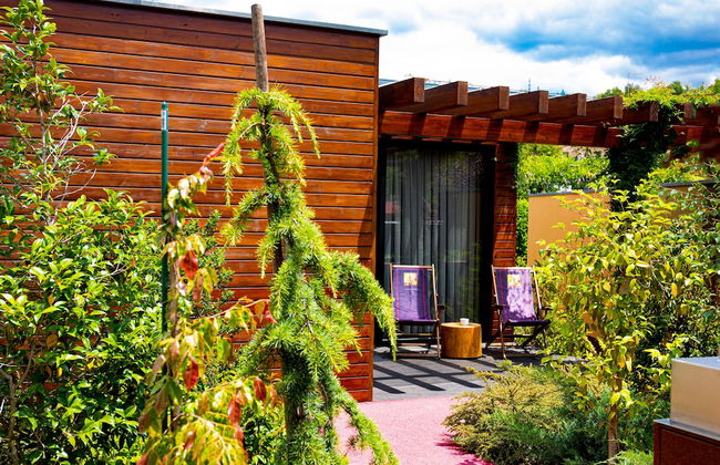 Vale de São Torcato Houses and Wine Bar - Photo 13