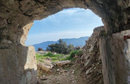 Casa vacanze il Pastore Tedesco - Foto 25