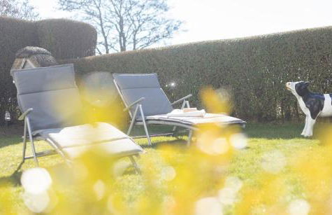 Ferienhaus Naase App 4 - Foto 10