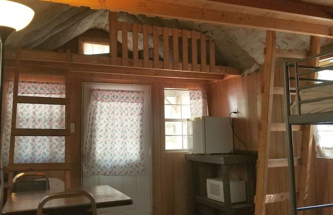 Abrams Creek Center - Foto 7