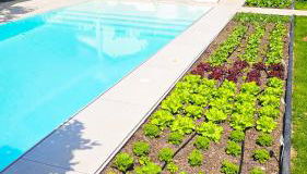 Luxurious large home with Pool, Garden, Koi Pond only 12 min to Octoberfest - Foto 4