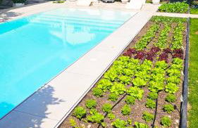 Luxurious large home with Pool, Garden, Koi Pond only 12 min to Octoberfest - Foto 4