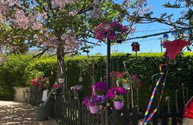 Iris-Gogo House - Foto 33