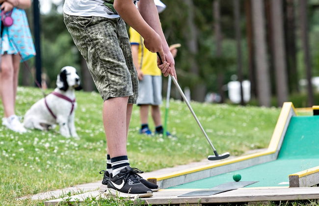 First Camp Mellsta-Borlänge - Foto 31