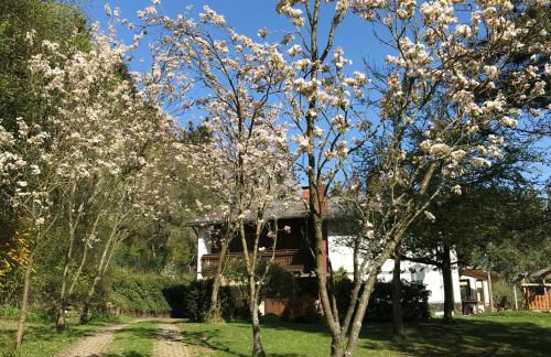 Ferienapartments Engeln Eifel - Foto 33