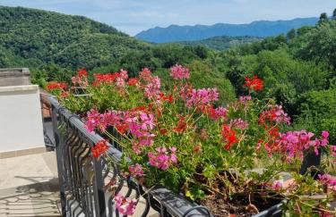 "Rosa di sera" - Relax in Toscana con Spa privata - Foto 44