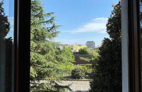 Bosco Imbonati - Foto 1
