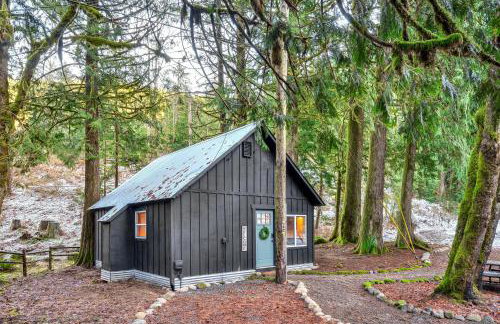 Hike, Ski and Explore Rhododendron Forest Retreat! - Foto 22