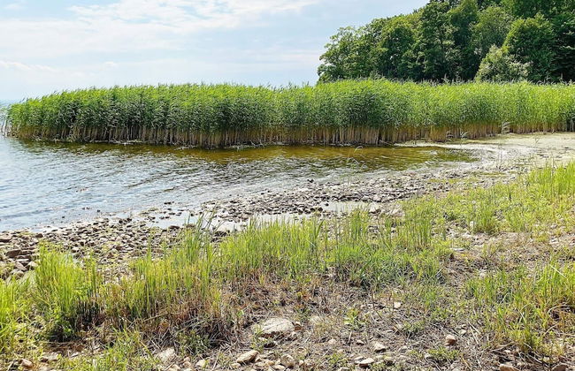 6 Person Holiday Home in Vreta Kloster - Foto 36