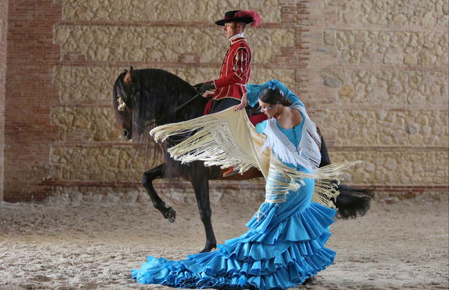 Spettacolo equestre alle Caballerizas Reales - Foto 2