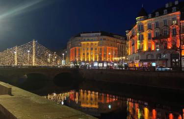 Le Cocon du lion - Foto 26