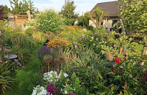 Ferienhaus Liwi - Foto 18