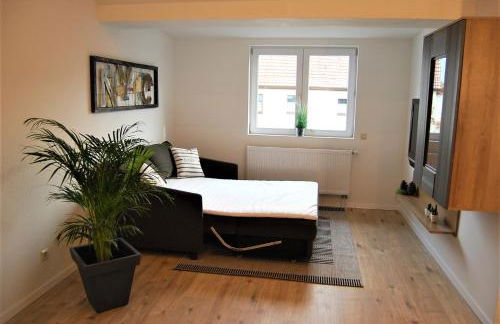Luxus Loft ideal Europa Park, Straßburg und Schwarzwald - Foto 16