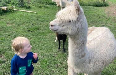 Ruby's Retreat! Farm Stay! North devon! Sleeps 6! Beaches Exmoor! - Foto 32