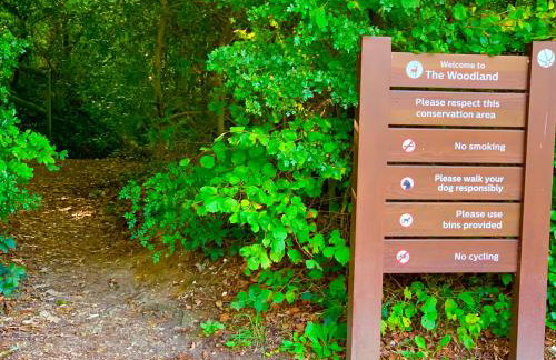 Forest lodge - Foto 67