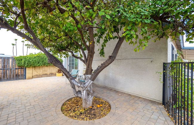 Royale Living in the Heart of Phoenix - Foto 12