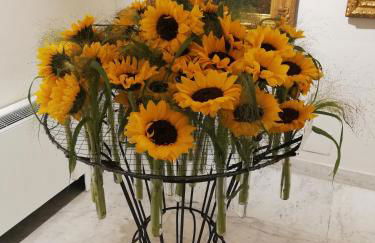 Apartment/Studio il Girasole - Foto 18