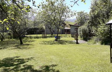 Flor de Pomar - Foto 39