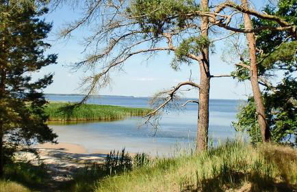 Auszeit am Haff Ferienhäuser - Foto 79