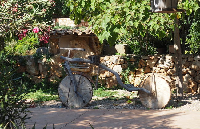 Son Mercadal - Foto 37