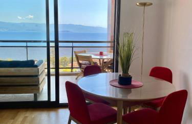 Grand T2 STANDING AJACCIO Proche centre et plages VUE PANORAMIQUE PARKING PRIVE - Foto 8