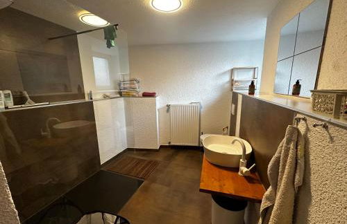 Himmelsscheibe - Foto 3