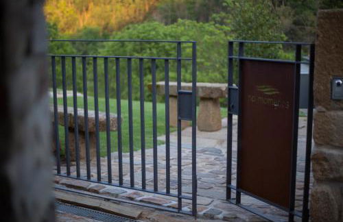 Rio Moment's - Foto 57