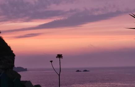 Pura vida Estaño - Foto 30