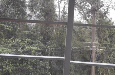 cantinho bom - Foto 11