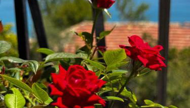 Georgia's Skyview - Foto 3